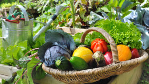 Feeding your vegetable garden 101 | IMC Outdoor Living