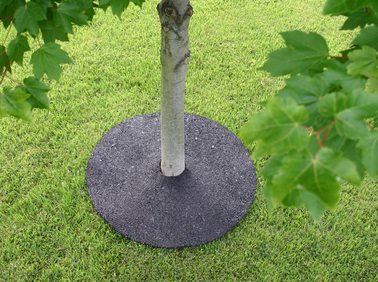 Rubberific Tree Rings