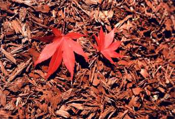 Rubberific%20Mulch%20-%20Mulch%20with%20Leaves.jpg